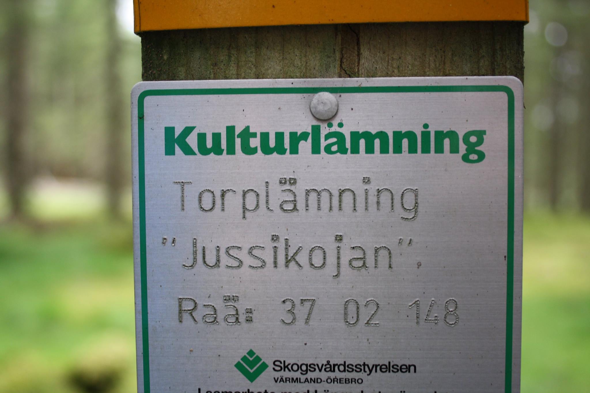 Jossikojan-2